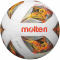 10er Ballpaket molten Fußball Leichtball 290g