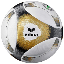 10er Ballpaket erima Hybrid Match Fußball Gr. 5