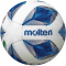 10er Ballpaket molten Fu&szlig;ball Wettspielball F5A5000 wei&szlig;/blau/silber 5