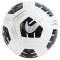 10er Ballpaket NIKE Club Elite Team Fu&szlig;ball white/black/metallic silver 5