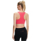 FALKE Madison Low Support Sport-BH cherry pink XS