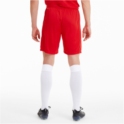 PUMA teamFINAL 21 Knit Shorts