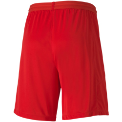 PUMA teamFINAL 21 Knit Shorts