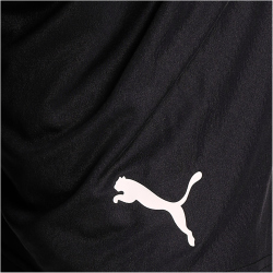 PUMA teamFINAL 21 Knit Shorts