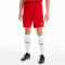 PUMA teamFINAL 21 Knit Shorts