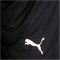 PUMA teamFINAL 21 Knit Shorts
