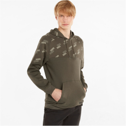 PUMA Power Hoodie Herren