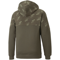 PUMA Power Hoodie Herren