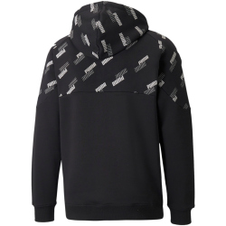 PUMA Power Hoodie Herren