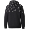 PUMA Power Hoodie Herren