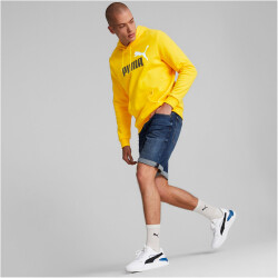 PUMA Ess+ Metallic 2 Col Big Logo Fleece-Hoodie Herren...
