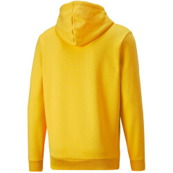 PUMA Ess+ Metallic 2 Col Big Logo Fleece-Hoodie Herren tangerine M