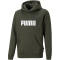 PUMA Ess+ Metallic 2 Col Big Logo Fleece-Hoodie Jungen forest night/puma white 152