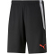 PUMA teamLIGA Training Trainingsshorts 2 PUMA black/fiery coral L