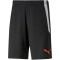 PUMA teamLIGA Training Trainingsshorts 2 PUMA black/fiery coral M