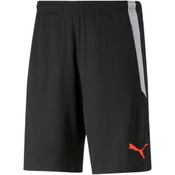 PUMA teamLIGA Training Trainingsshorts 2 puma black/fiery...