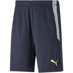 PUMA teamLIGA Training Trainingsshorts 2 parisian...