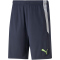 PUMA teamLIGA Training Trainingsshorts 2 parisian night/fizzy light L