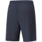 PUMA teamLIGA Training Trainingsshorts 2 parisian night/fizzy light L