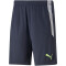 PUMA teamLIGA Training Trainingsshorts 2 parisian night/fizzy light XXL