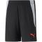 PUMA teamLIGA Training Trainingsshorts 2 Kinder PUMA black/fiery coral 152