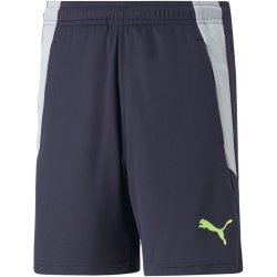PUMA teamLIGA Training Trainingsshorts 2 Kinder parisian night/fizzy light 176