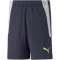 PUMA teamLIGA Training Trainingsshorts 2 Kinder parisian night/fizzy light 176