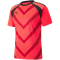 PUMA teamLIGA Graphic Trikot Herren fiery coral/burnt red XL
