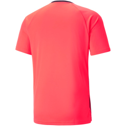 PUMA teamLIGA Graphic Trikot Herren fiery coral/burnt red L
