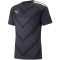 PUMA teamLIGA Graphic Trikot Herren parisian night/fizzy light XL