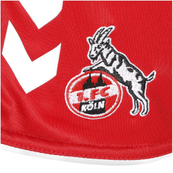 hummel 1. FC K&ouml;ln Ausw&auml;rtsshorts 2022/23 Kinder