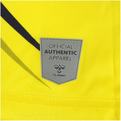hummel 1. FC K&ouml;ln Torwarttrikot 2022/23 Herren blazing yellow S