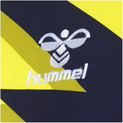 hummel 1. FC K&ouml;ln Torwarttrikot 2022/23 Herren blazing yellow S