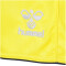 hummel 1. FC Köln Torwartshorts 2022/23 blazing yellow S