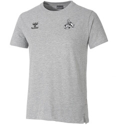 hummel 1. FC Köln Travel T-Shirt 2022/23 Kinder grey...