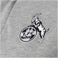 hummel 1. FC Köln Travel Poloshirt Kinder grey melange 116