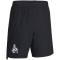hummel 1. FC K&ouml;ln Travel Woven Shorts 2022/23 black S