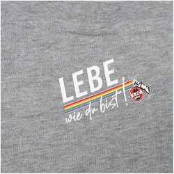 hummel 1. FC Köln LEBE Fanshirt 22/23 grey melange XXL