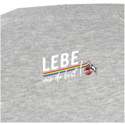 hummel 1. FC K&ouml;ln LEBE Sweatshirt 22/23 grey melange XL