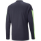 PUMA individualFINAL Training 1/4-Zip-Top Herren