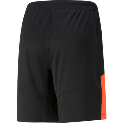 PUMA individualFINAL Trainingsshorts Herren