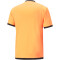 PUMA teamLIGA Schiedsrichtertrikot Herren