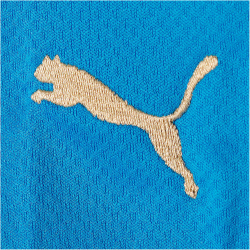 PUMA FIGC Italien Heimtrikot 2022/23 Herren