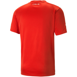 PUMA FIGC Italien Torwarttrikot 2022/23 Herren