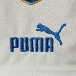 PUMA FIGC Italien Shorts Herren