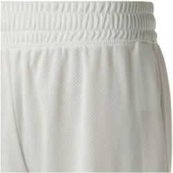 PUMA FIGC Italien Shorts Herren