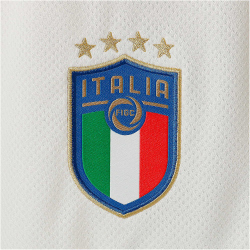 PUMA FIGC Italien Shorts Herren