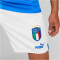 PUMA FIGC Italien Shorts Herren