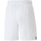 PUMA FIGC Italien Shorts Herren