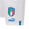 PUMA FIGC Italien Shorts Kinder